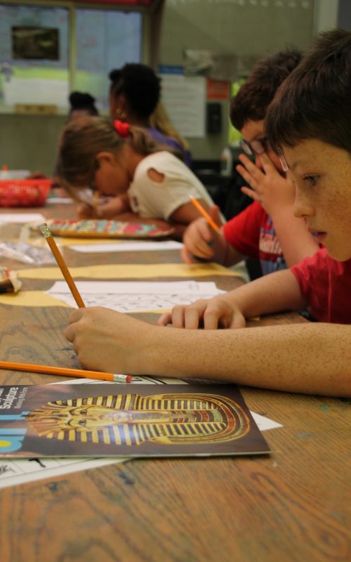 Summer Camps The New Children's Museum